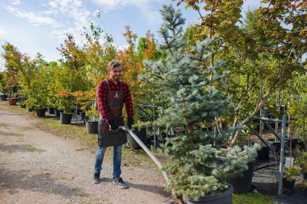 Best Seasonal Cleanup  in Chattahoochee, FL